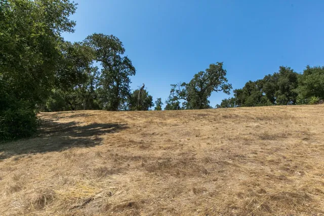 a view of a field with trees in background