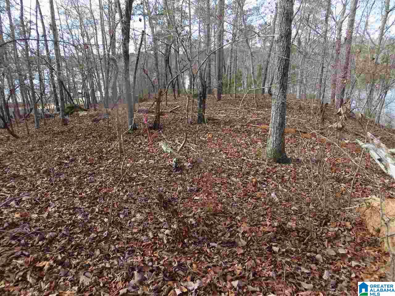 Lot 7 Eagle Mountain Road, Unit 7 Alexander City, AL 35010 - Photo 3 of 7