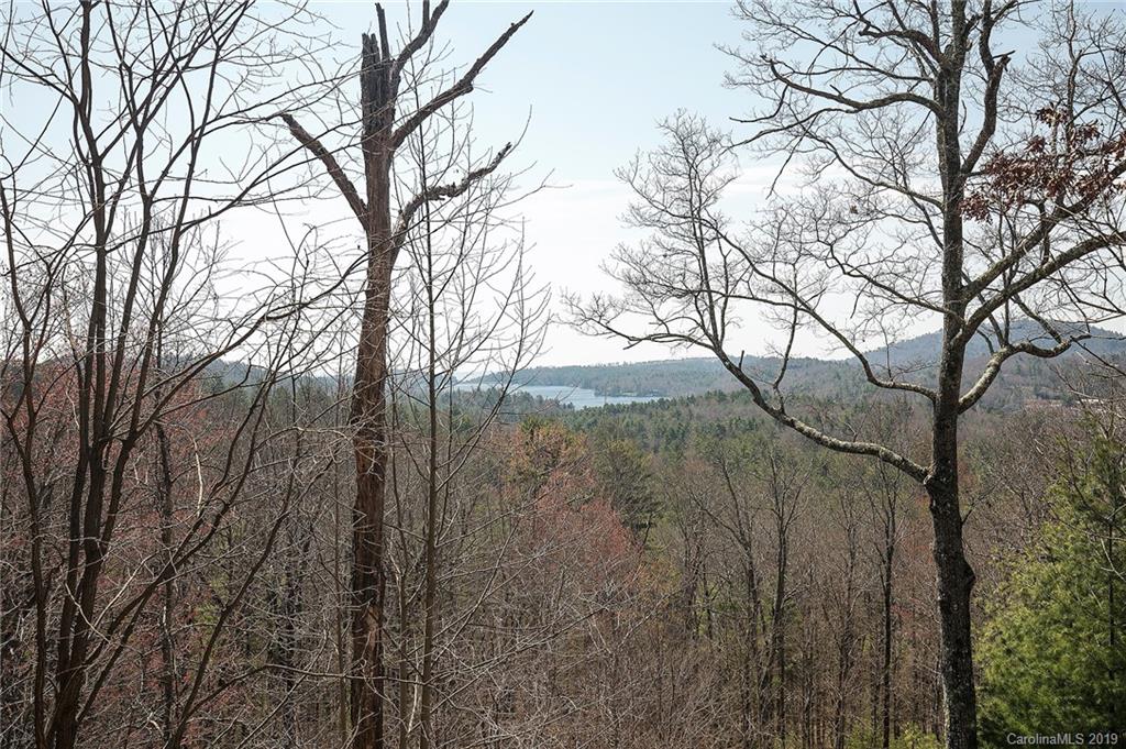 254 Panther Ridge Road, Unit PR Lake Toxaway, NC 28747 - Photo 32 of 32 Gallery Image 32