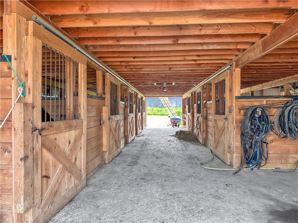 3919 Wing Street Eagle, NY 14024 - Photo 34 of 50