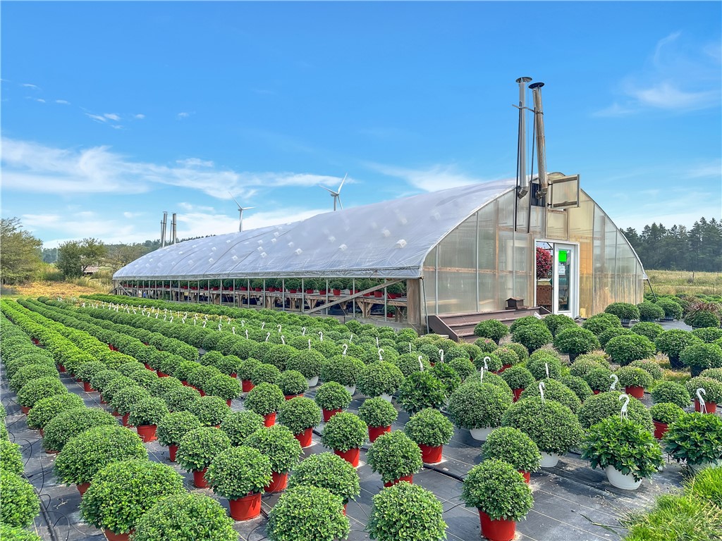 3919 Wing Street Eagle, NY 14024 - Photo 36 of 50