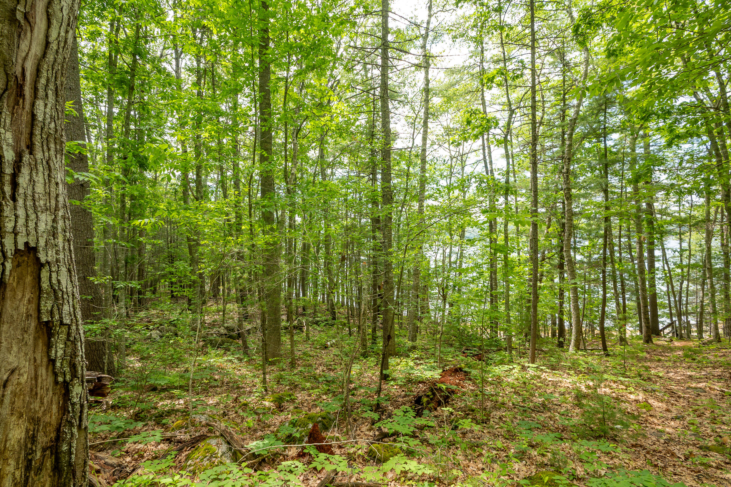 21 A Map 12 Lot21-a Bristol Road Bristol, ME 04539 - Photo 7 of 27 35-Near huston Ln-13