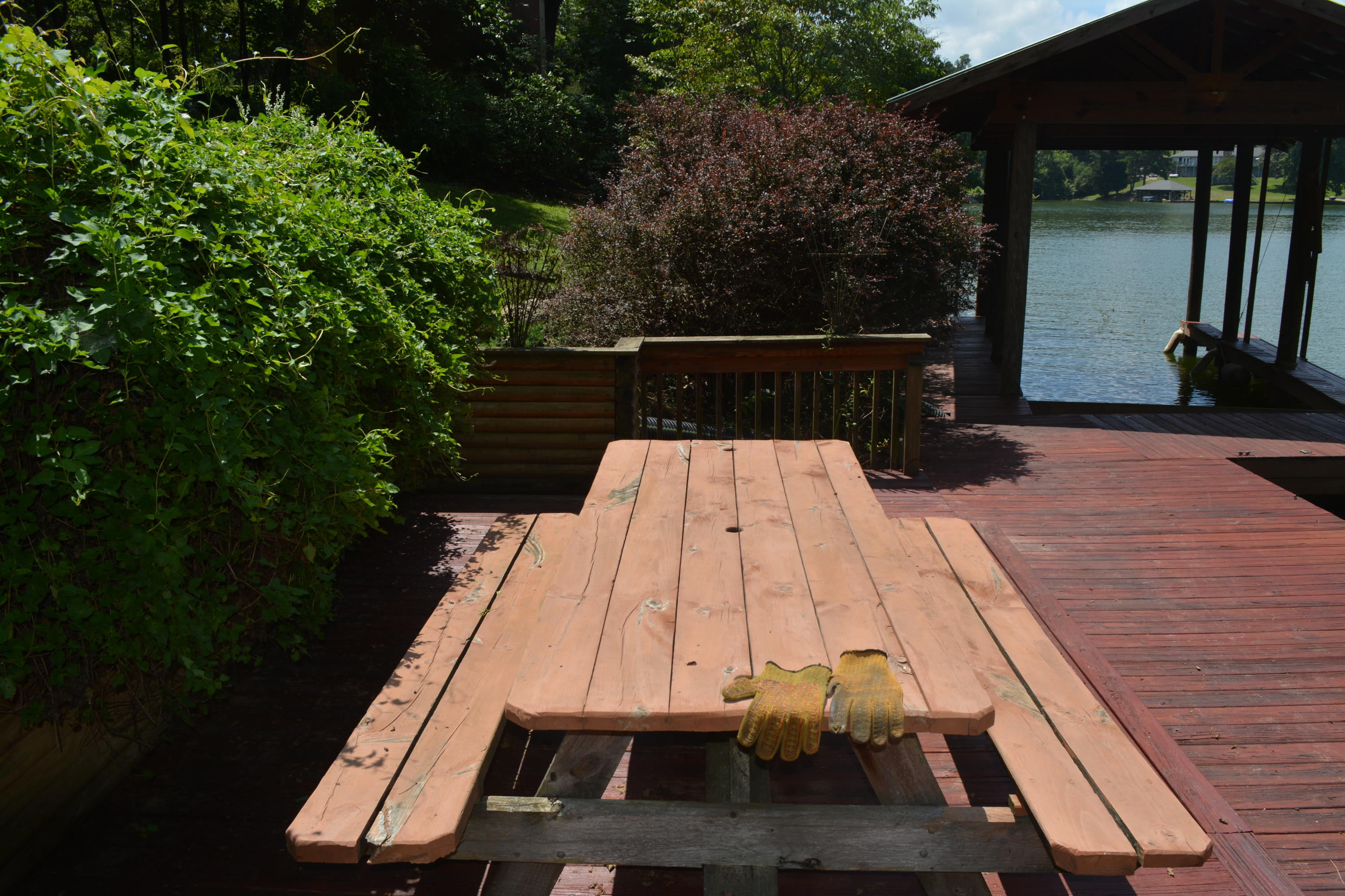 707 Rio Drive Friendsville, TN 37737 - Photo 12 of 40 DSC_0773