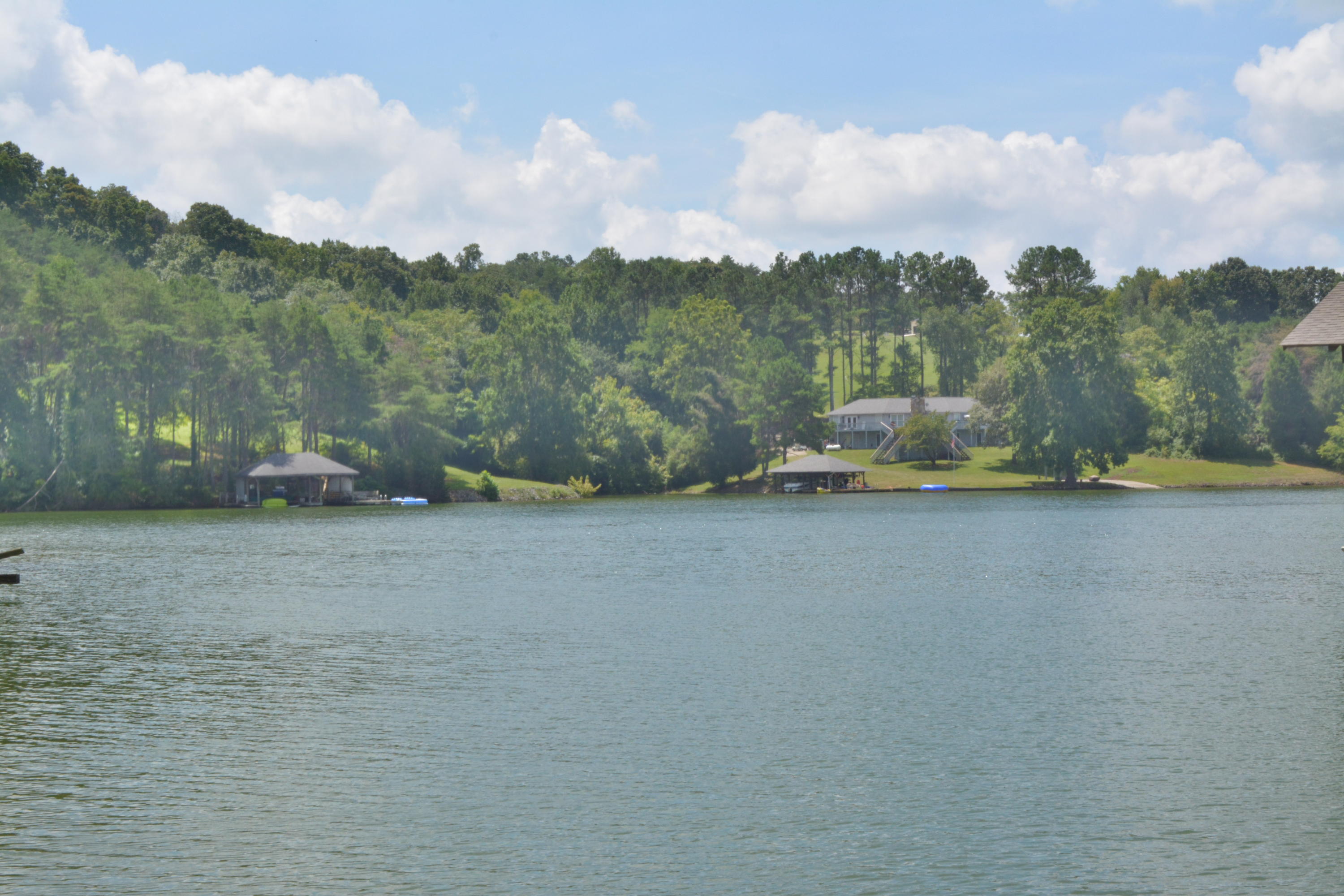 707 Rio Drive Friendsville, TN 37737 - Photo 15 of 40 DSC_0778
