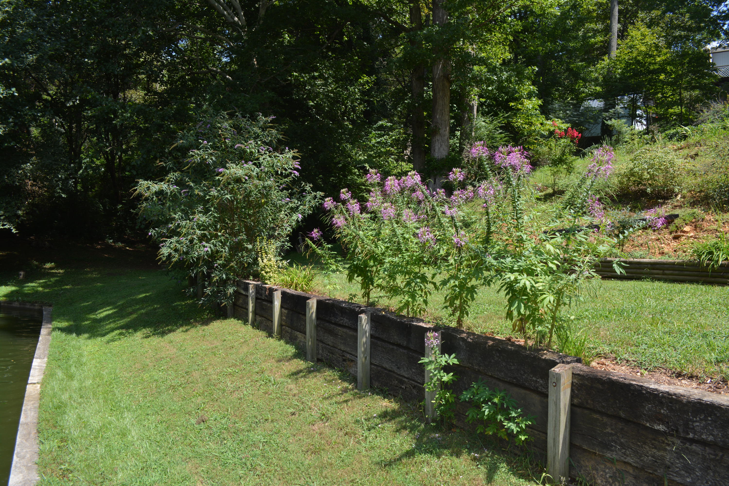 707 Rio Drive Friendsville, TN 37737 - Photo 17 of 40 DSC_0784