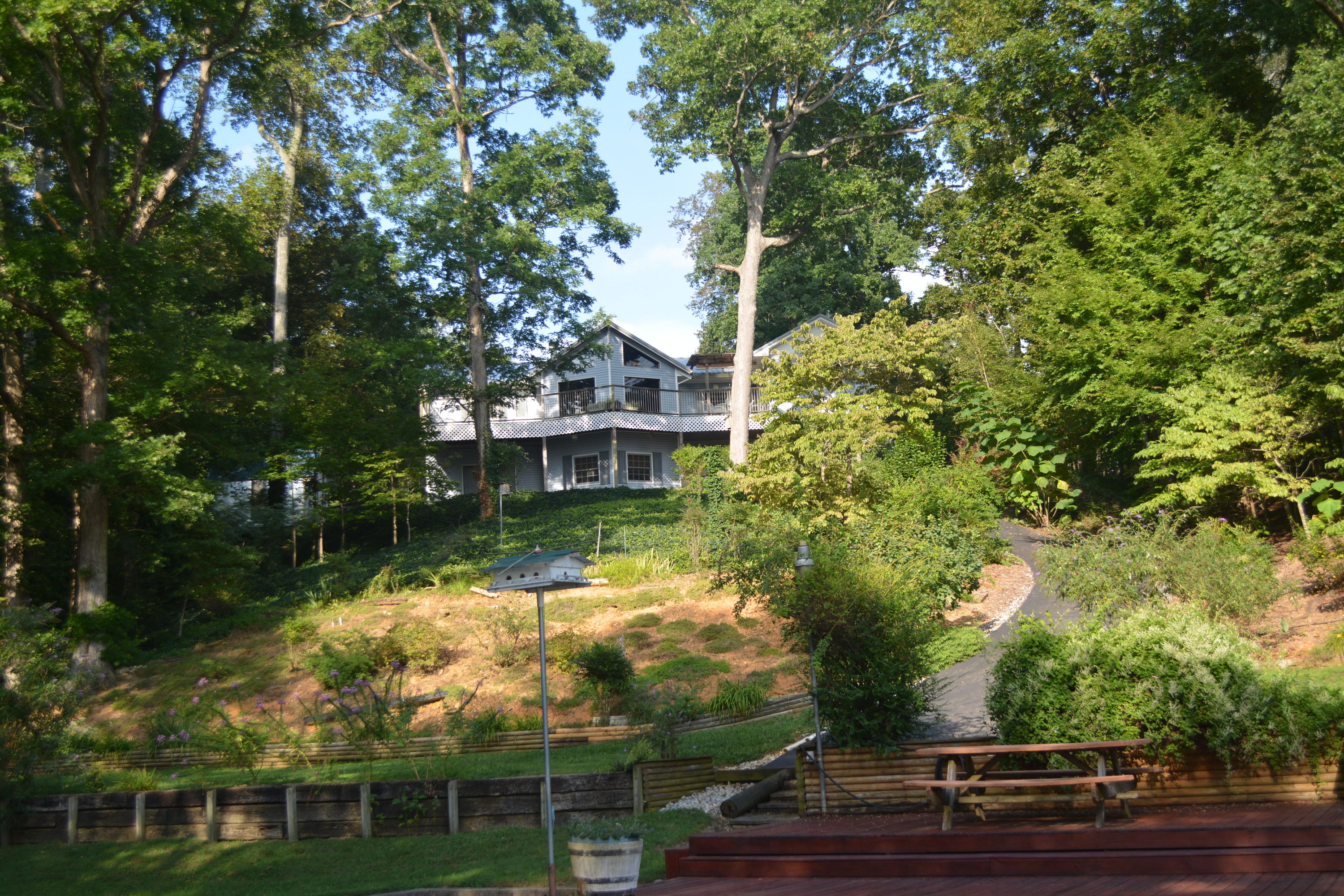 707 Rio Drive Friendsville, TN 37737 - Photo 19 of 40 DSC_0351