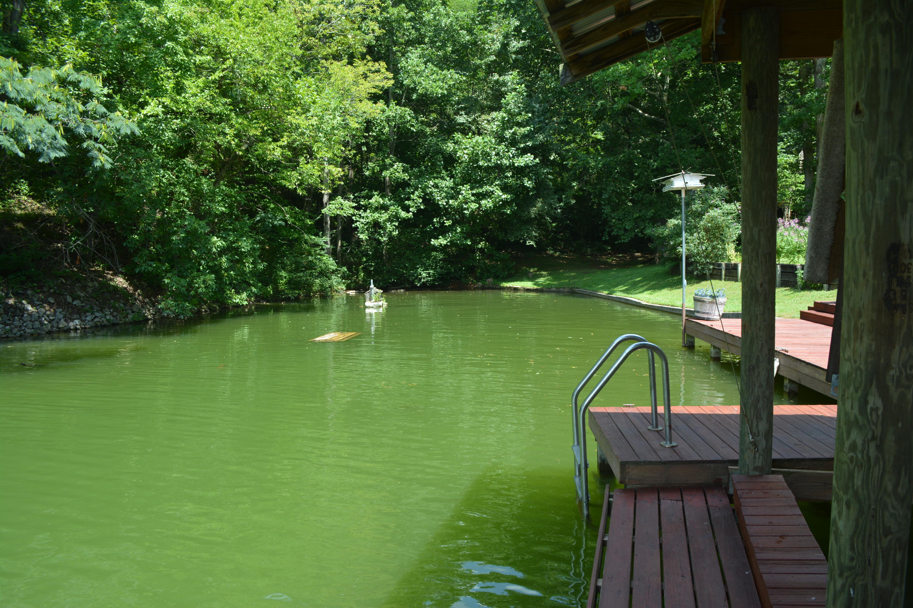 707 Rio Drive Friendsville, TN 37737 - Photo 20 of 40 DSC_0781
