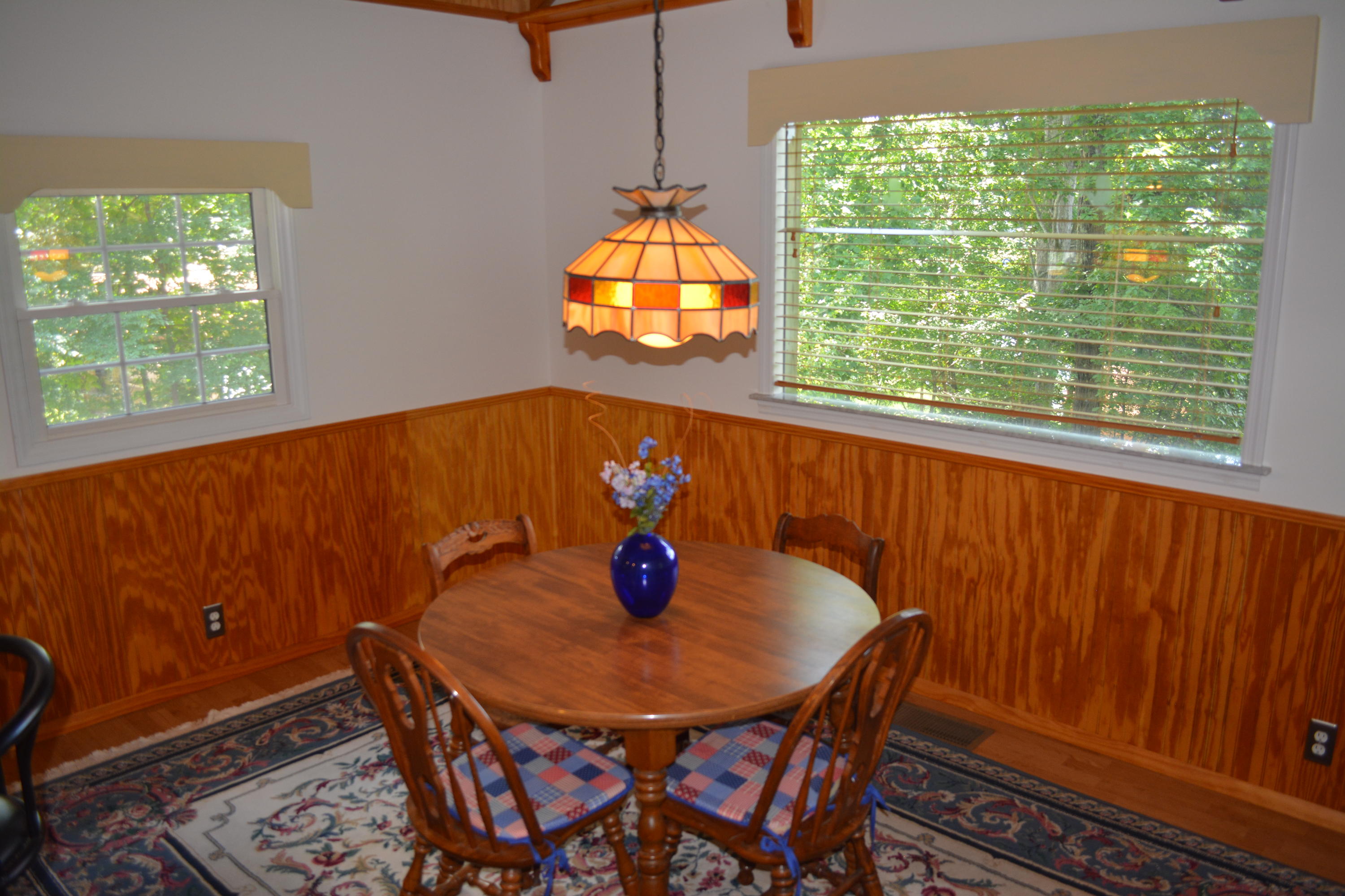 707 Rio Drive Friendsville, TN 37737 - Photo 38 of 40 DSC_0835