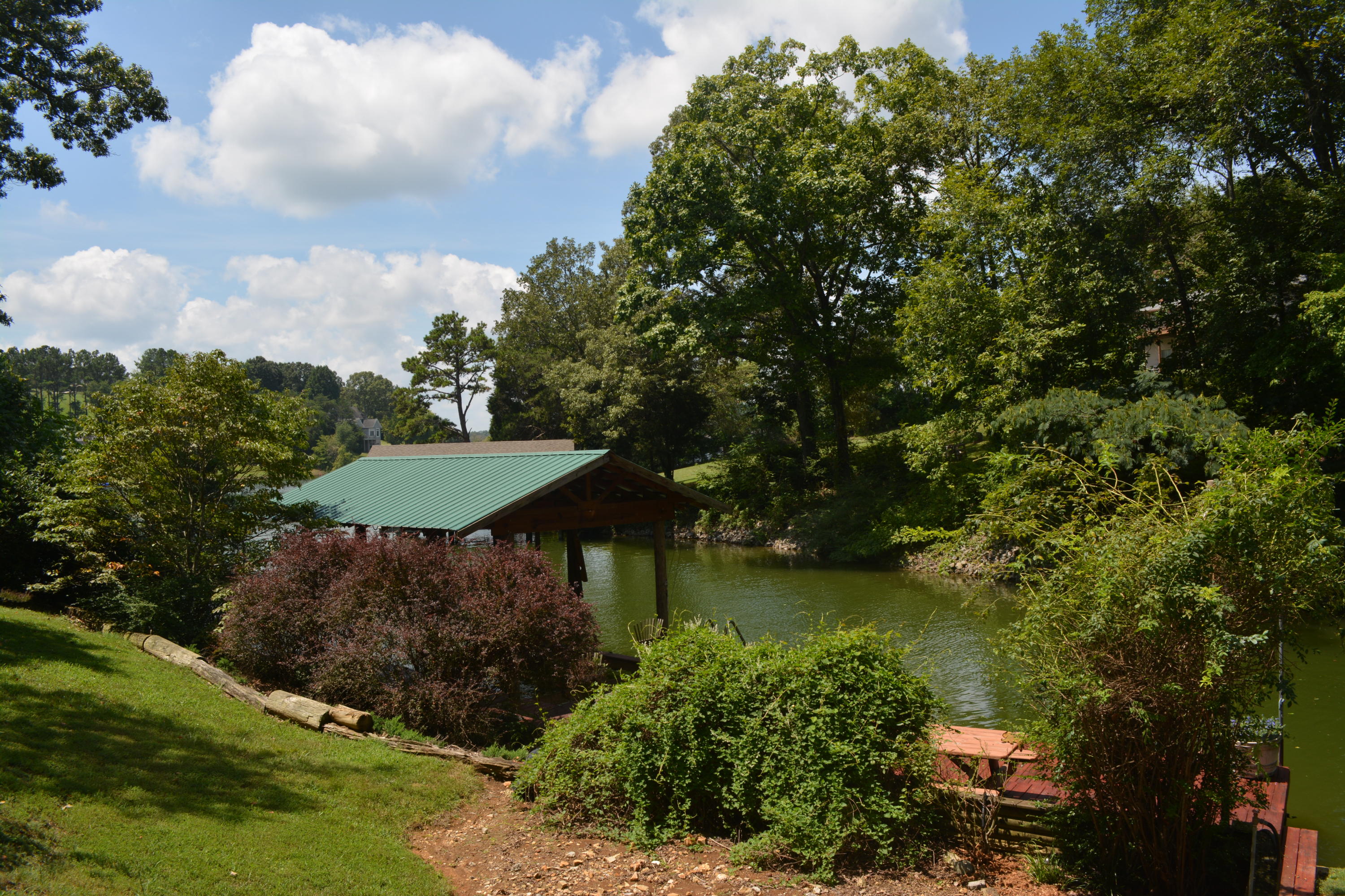 707 Rio Drive Friendsville, TN 37737 - Photo 8 of 40 DSC_0768