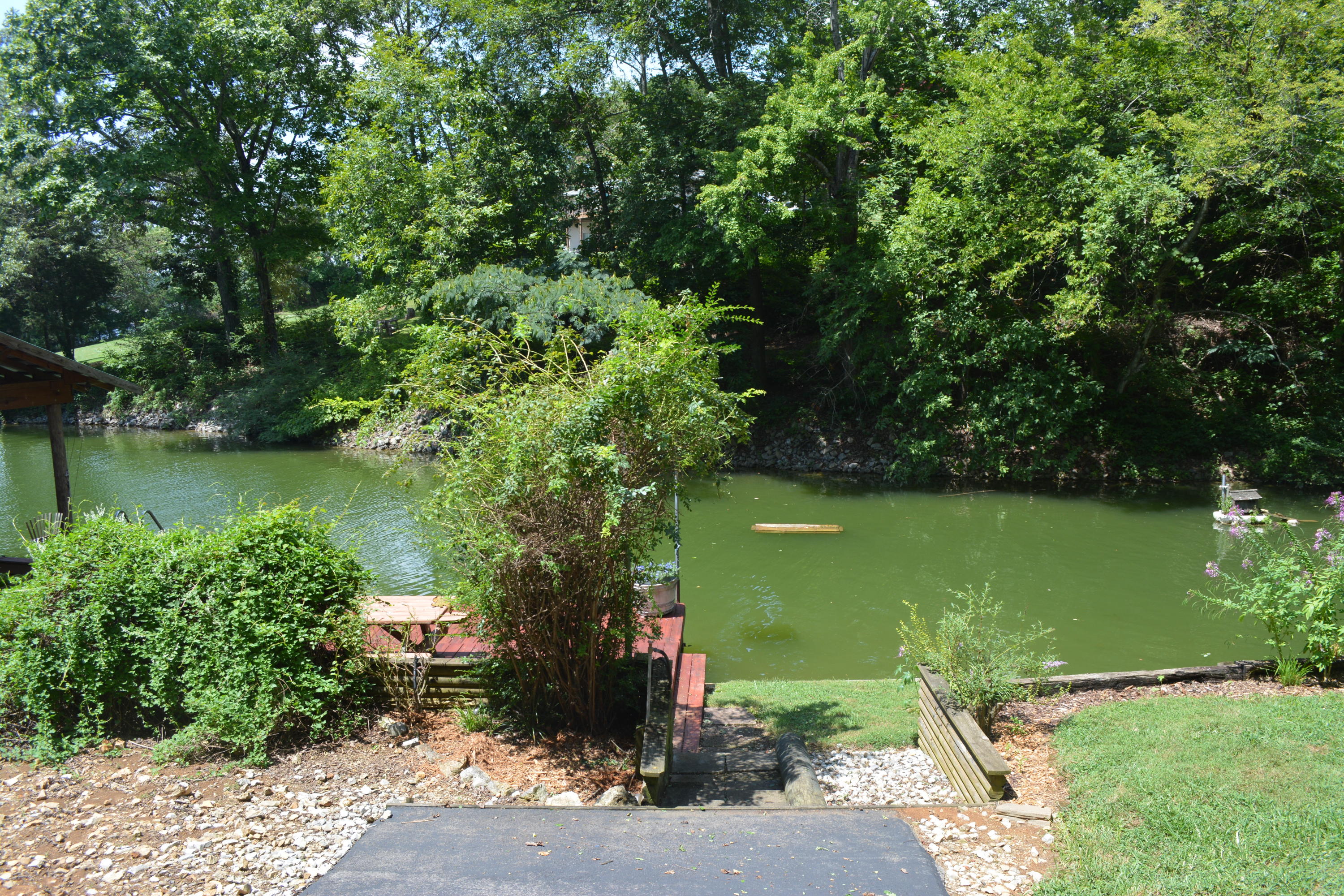 707 Rio Drive Friendsville, TN 37737 - Photo 9 of 40 DSC_0769
