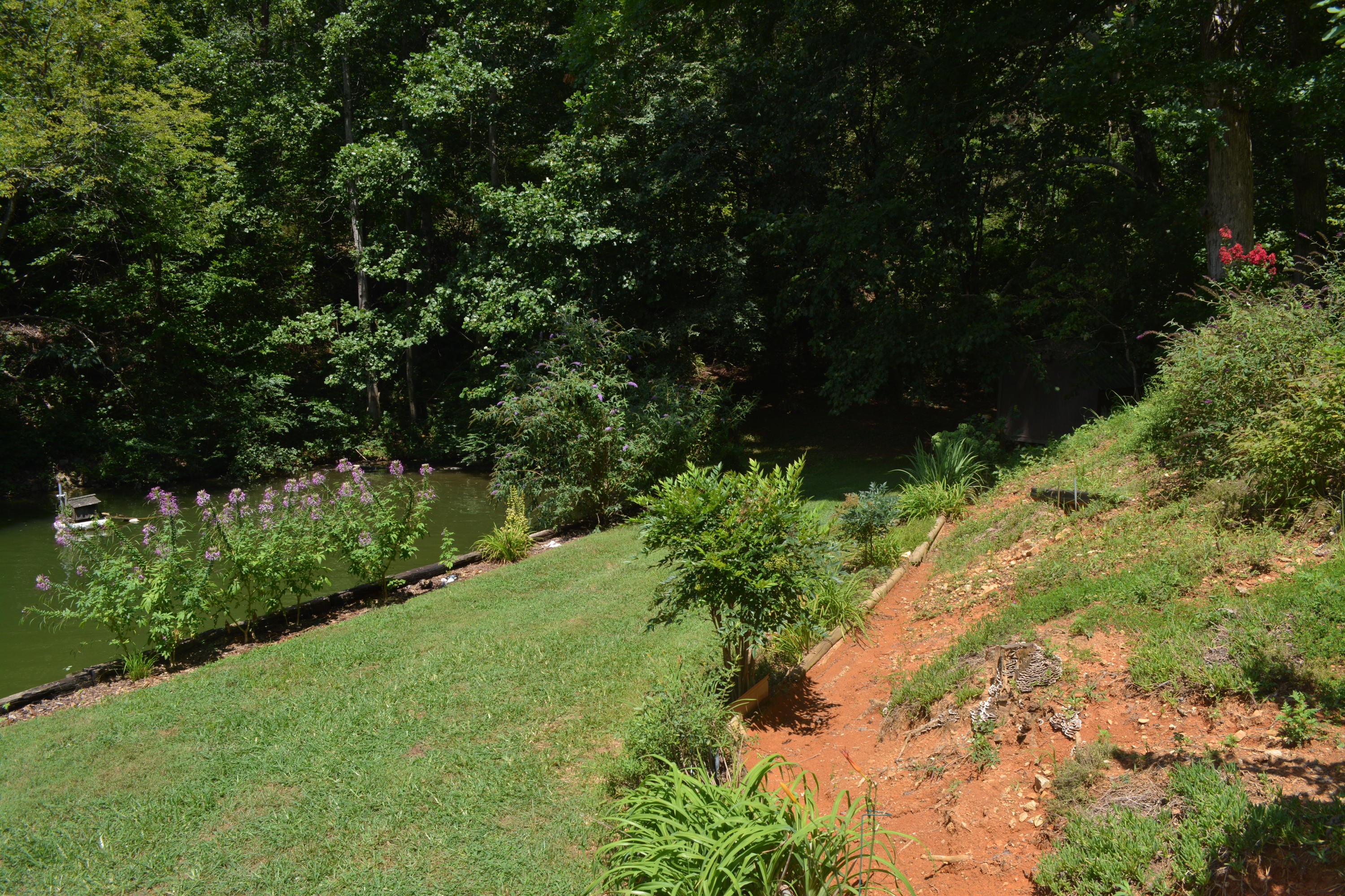 707 Rio Drive Friendsville, TN 37737 - Photo 10 of 40 DSC_0770