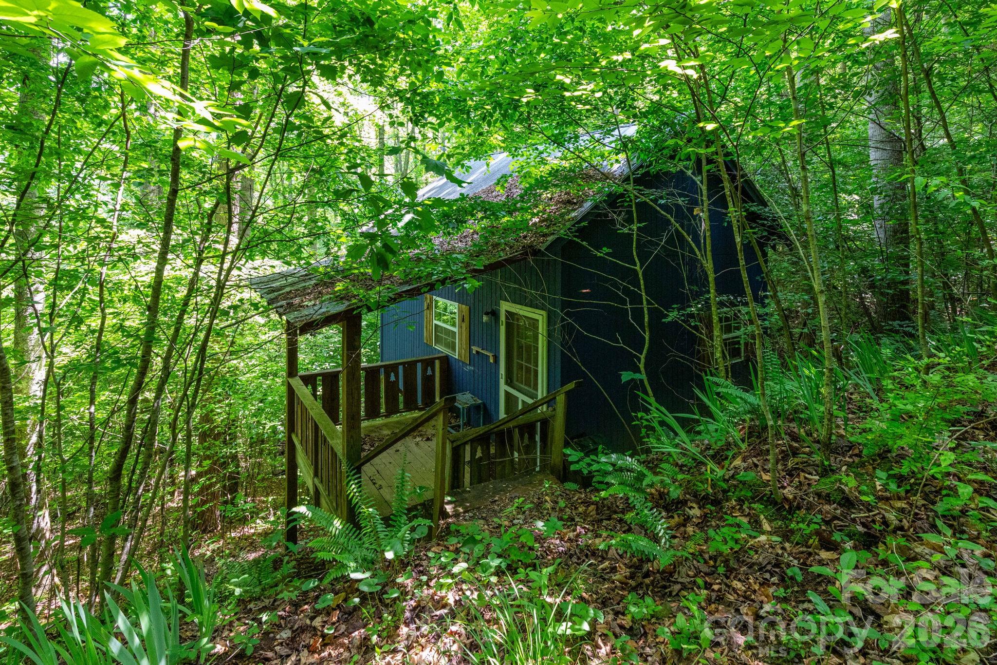 329 North Fork Road Barnardsville, NC 28709 - Photo 19 of 33