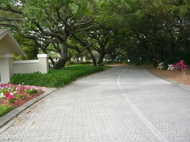 a view of backyard with plants and trees