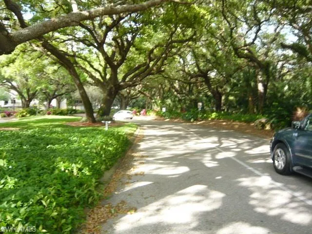 a view of a yard with a tree
