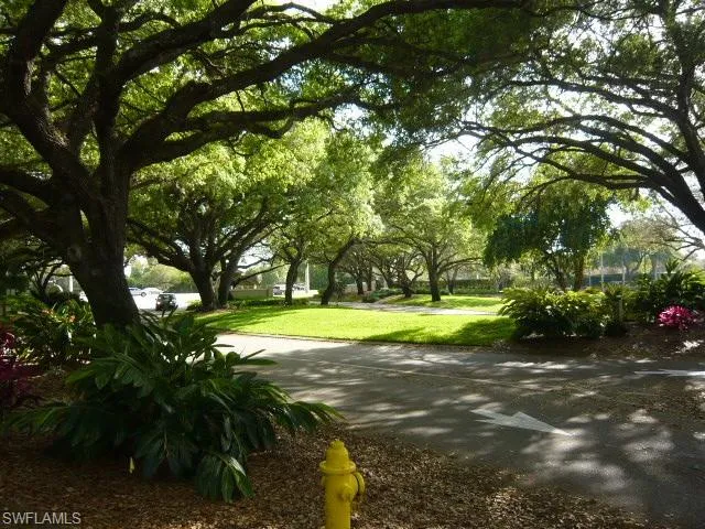 a view of yard with green space