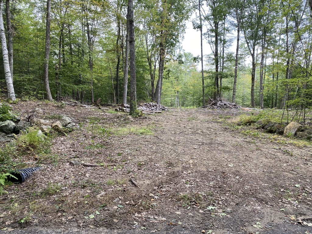 Lot 5 Falls Road Royalston, MA 01368 - Photo 1 of 9 Gallery Image 1
