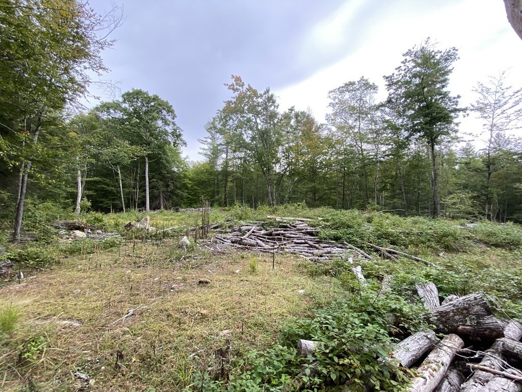 Lot 5 Falls Road Royalston, MA 01368 - Photo 6 of 9 Gallery Image 6