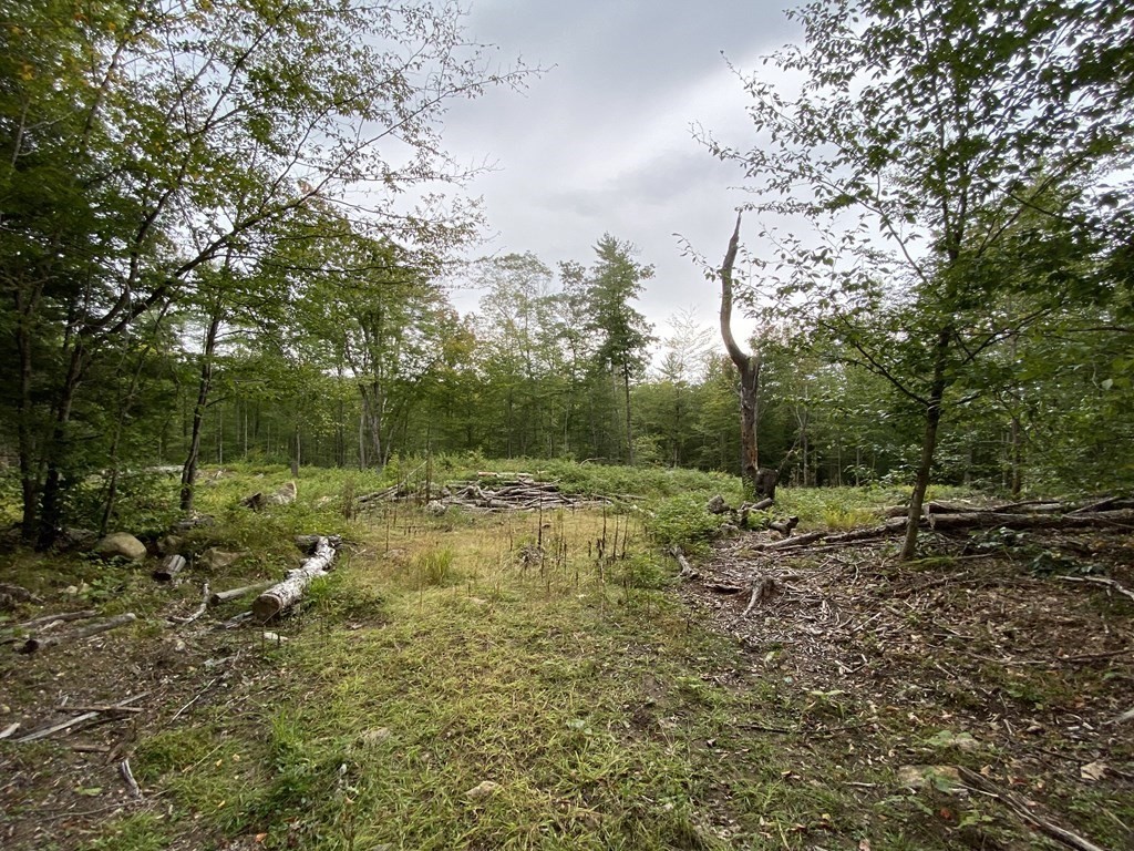 Lot 5 Falls Road Royalston, MA 01368 - Photo 7 of 9 Gallery Image 7