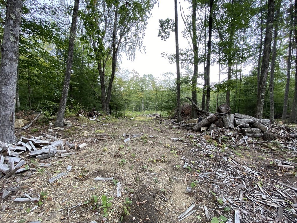 Lot 5 Falls Road Royalston, MA 01368 - Photo 8 of 9 Gallery Image 8
