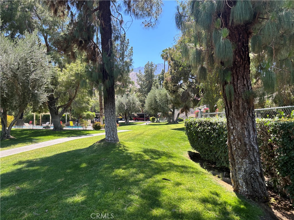 2860 North Los Felices Road, Unit 210 Palm Springs, CA 92262 - Photo 15 of 25