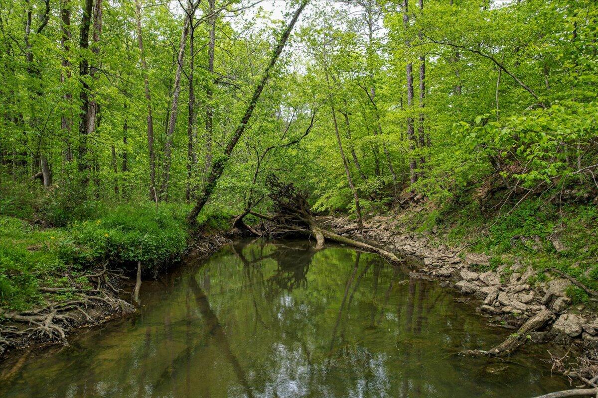 181 Hawkins Hollow Road Southeast Cleveland, TN 37323 - Photo 87 of 100 085-181 Hawkins Hollow Rd-85