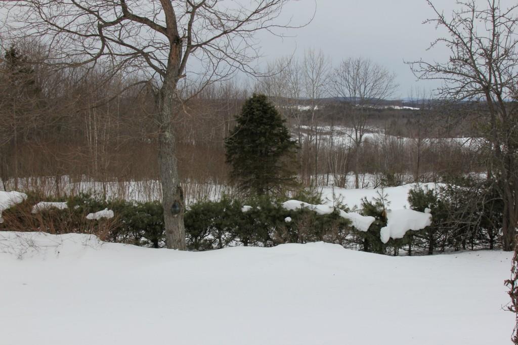 535 Middle Road Sabattus, ME 04280 - Photo 29 of 34 Photo