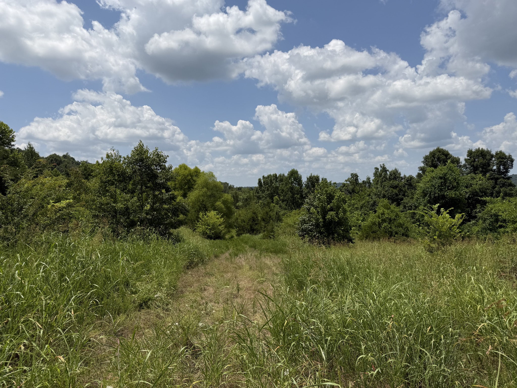 0 Winchester Highway Kelso, TN 37348 - Photo 45 of 46