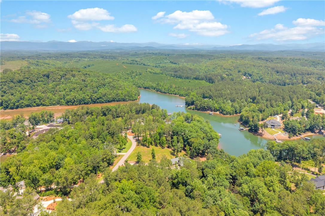 Lot 60 Harbor Point Seneca, SC 29672 - Photo 10 of 30 Discover expansive lakefront living nestled amidst a verdant landscape.