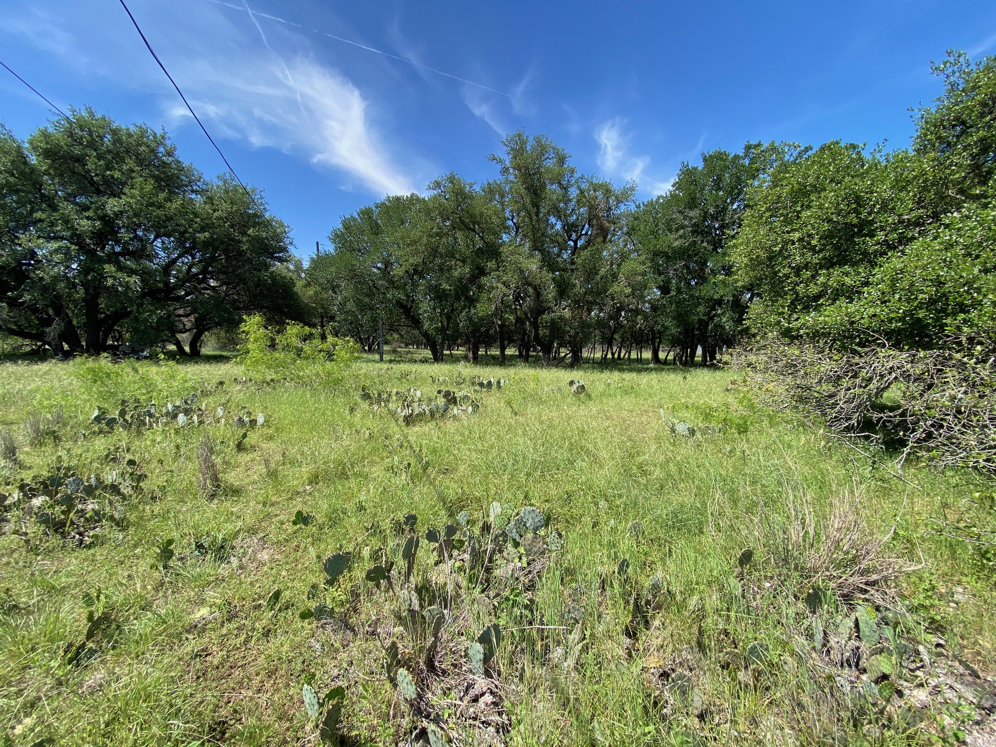 3215 County Road 305 Jarrell, TX 76537 - Photo 21 of 23