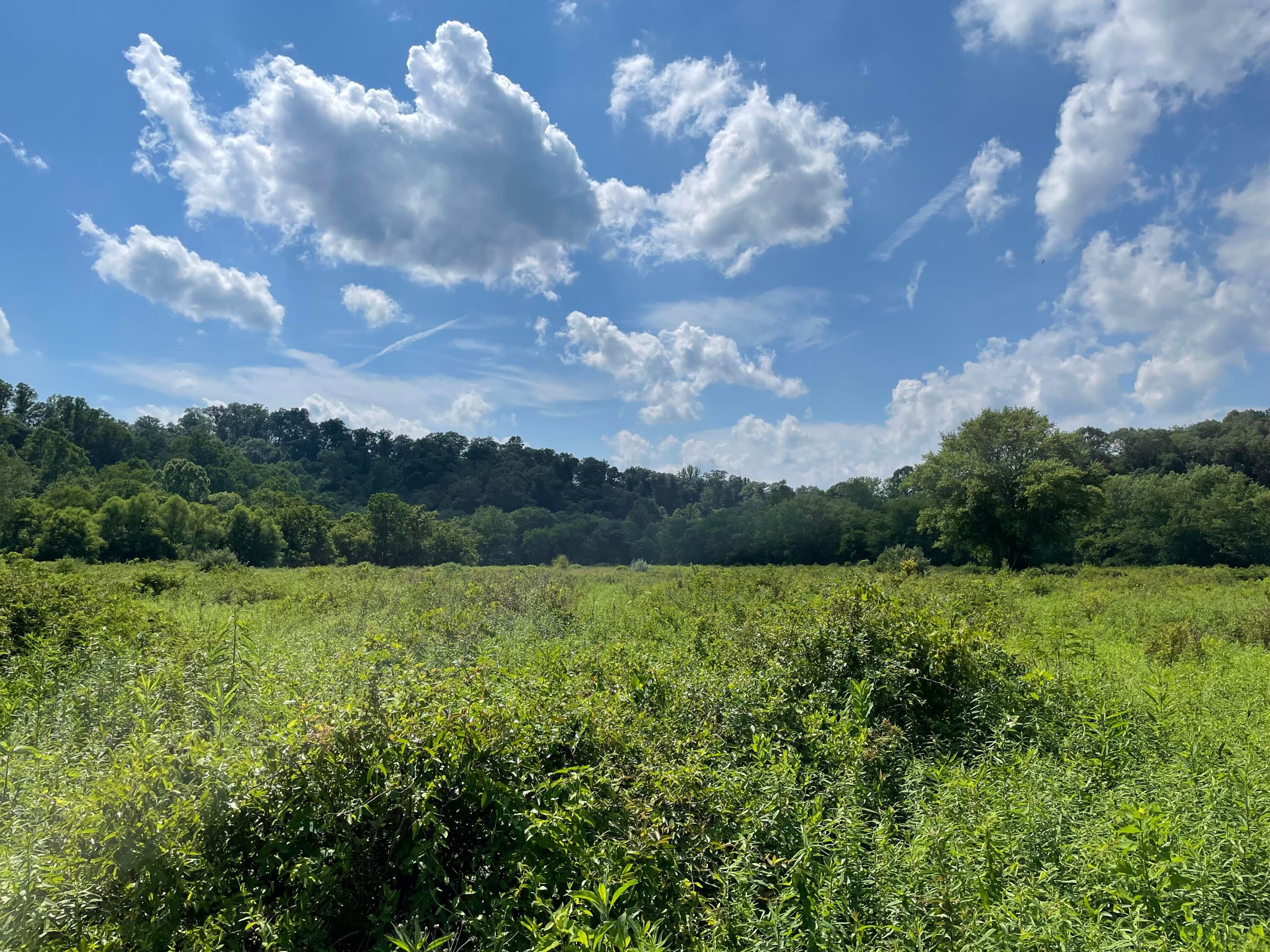 960 Rockcamp Road New Marshfield, OH 45766 - Photo 58 of 73 59) 72666-6a31ffed9d738