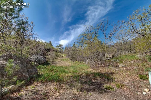 a view of a yard with a tree