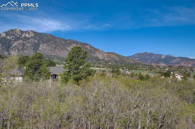 a view of a lush green field with mountains in the background