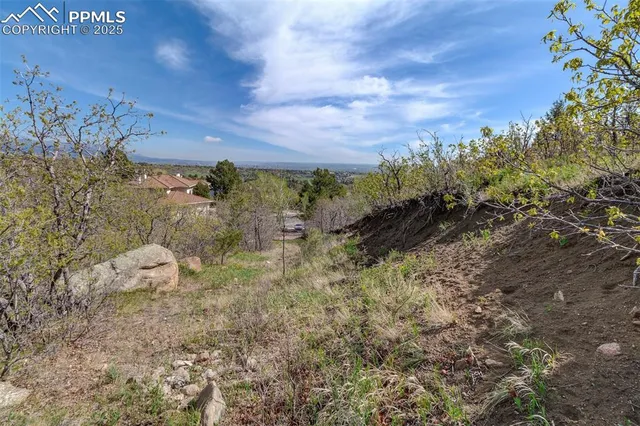 a view of a bunch of trees in a field