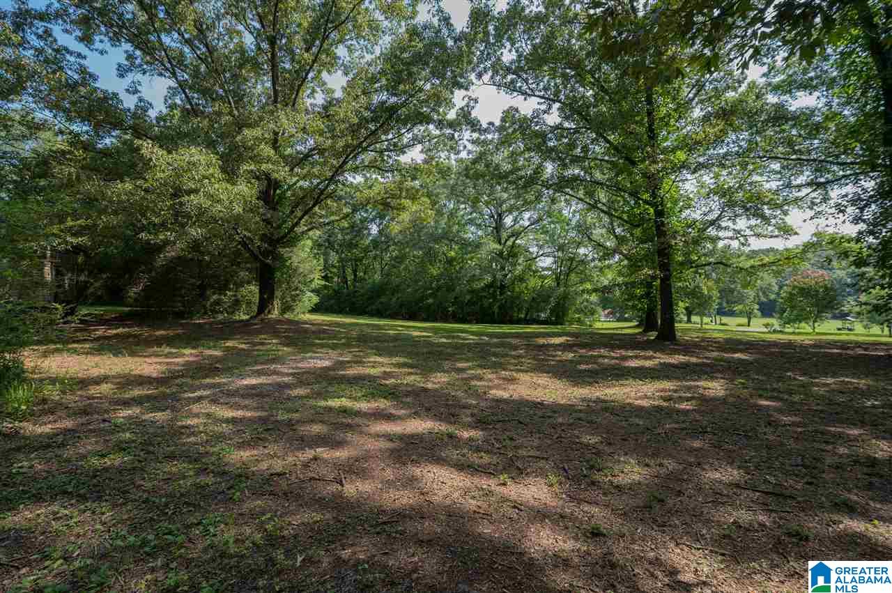 10929 Jackson Trace Road Lincoln, AL 35096 - Photo 42 of 50