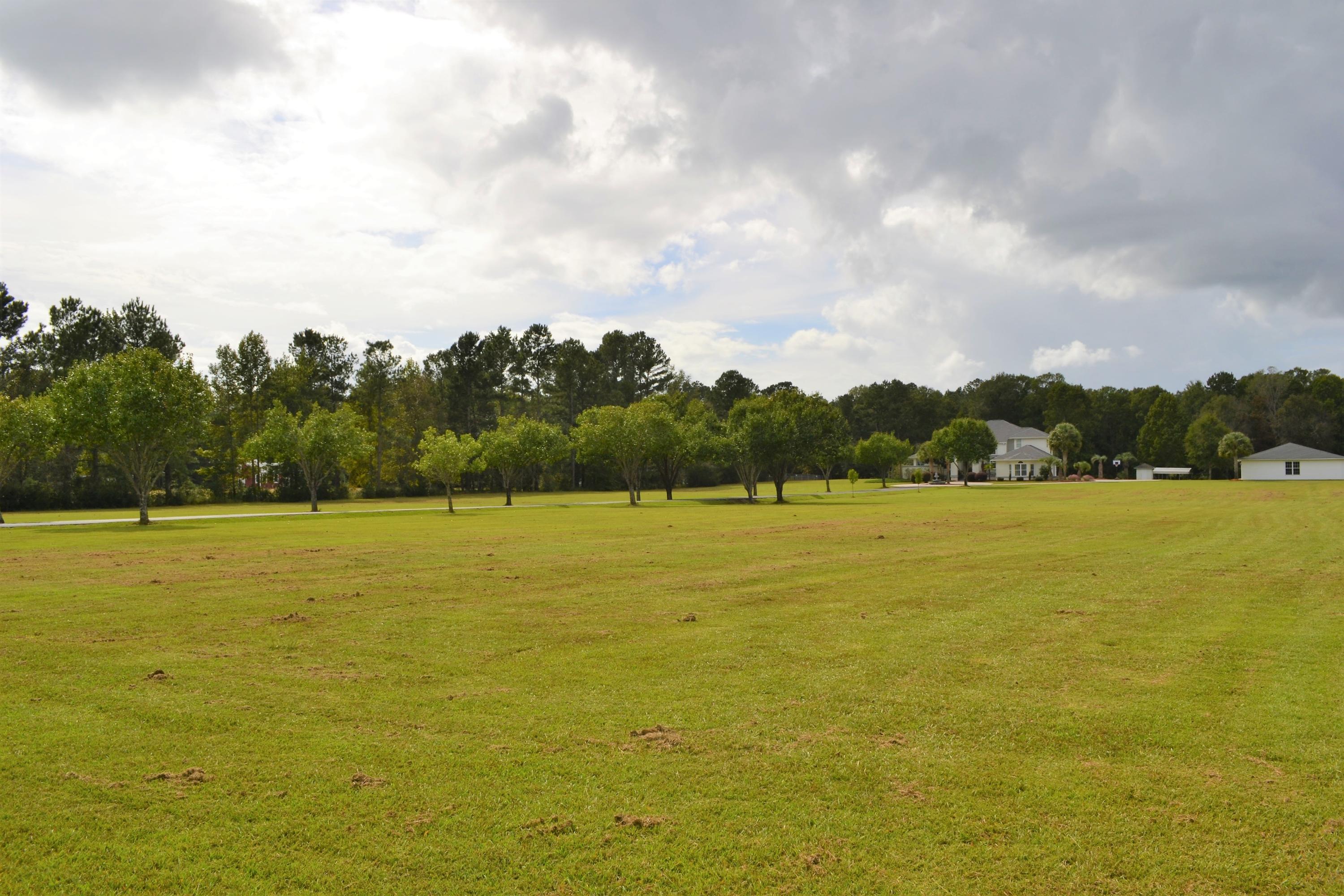 1125 Barnyard Road Bonneau, SC 29431 - Photo 46 of 51 Large Lot