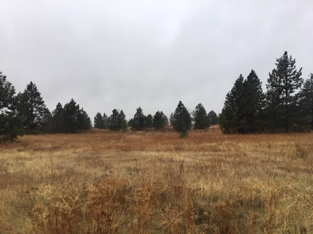 Lot B South Rambo Road Medical Lake, WA 99022 - Photo 1 of 6 Gallery Image 1