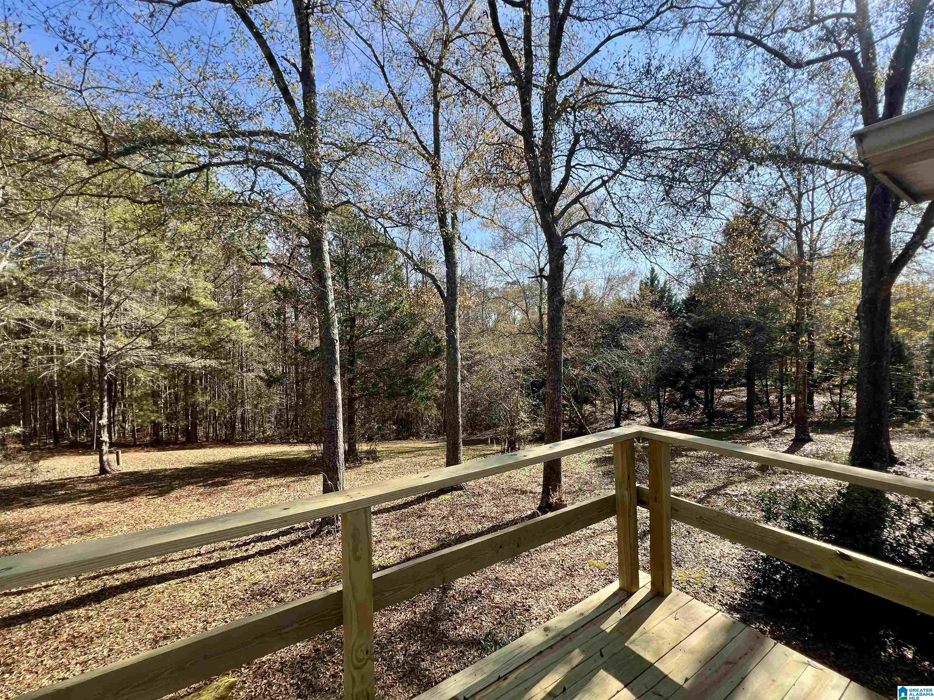 151 Mill Street Wedowee, AL 36278 - Photo 13 of 31
