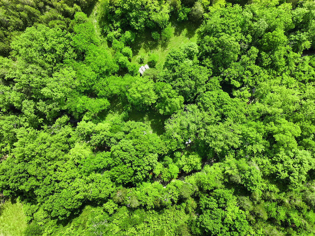 780 Stoney Run Road Richmond, KY 40475 - Photo 5 of 25 DJI_20250605104602_0130_D