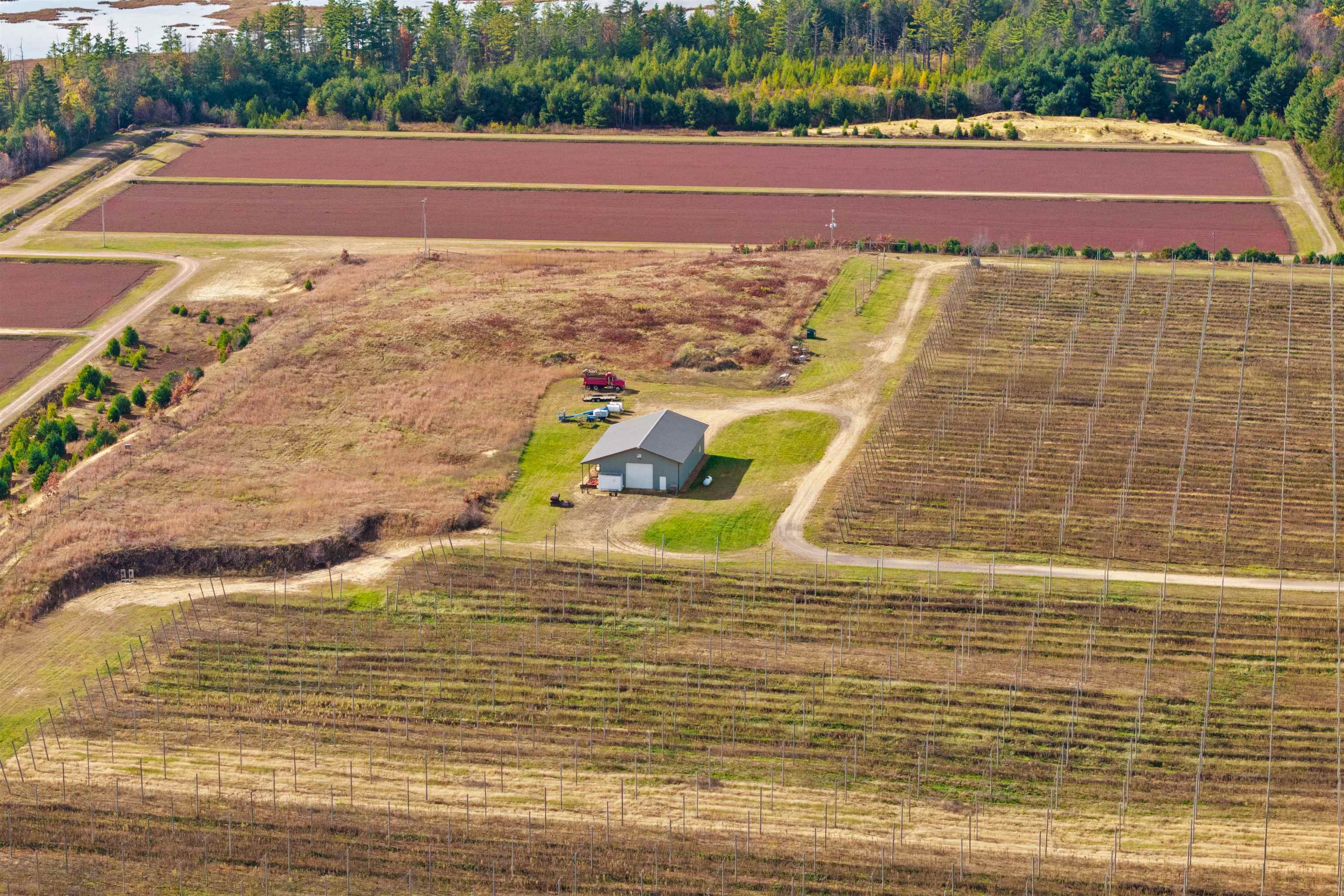 N4085 Cranberry Road Warrens, WI 54666 - Photo 6 of 30