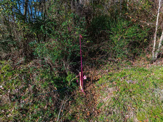 $149,000 | 0 Rimmer Road, Trezevant, TN 38258