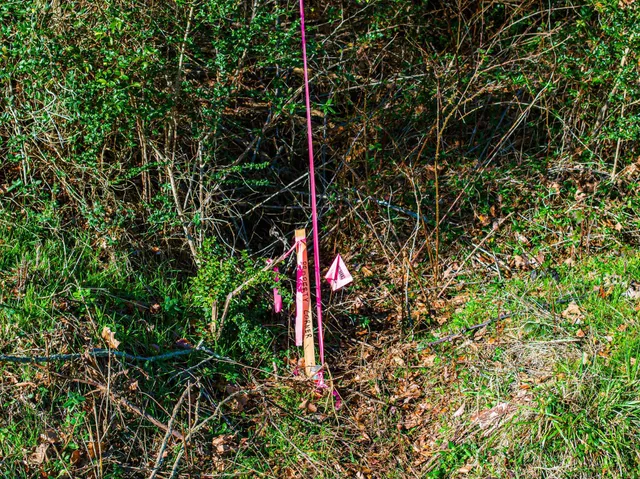 $149,000 | 0 Rimmer Road, Trezevant, TN 38258