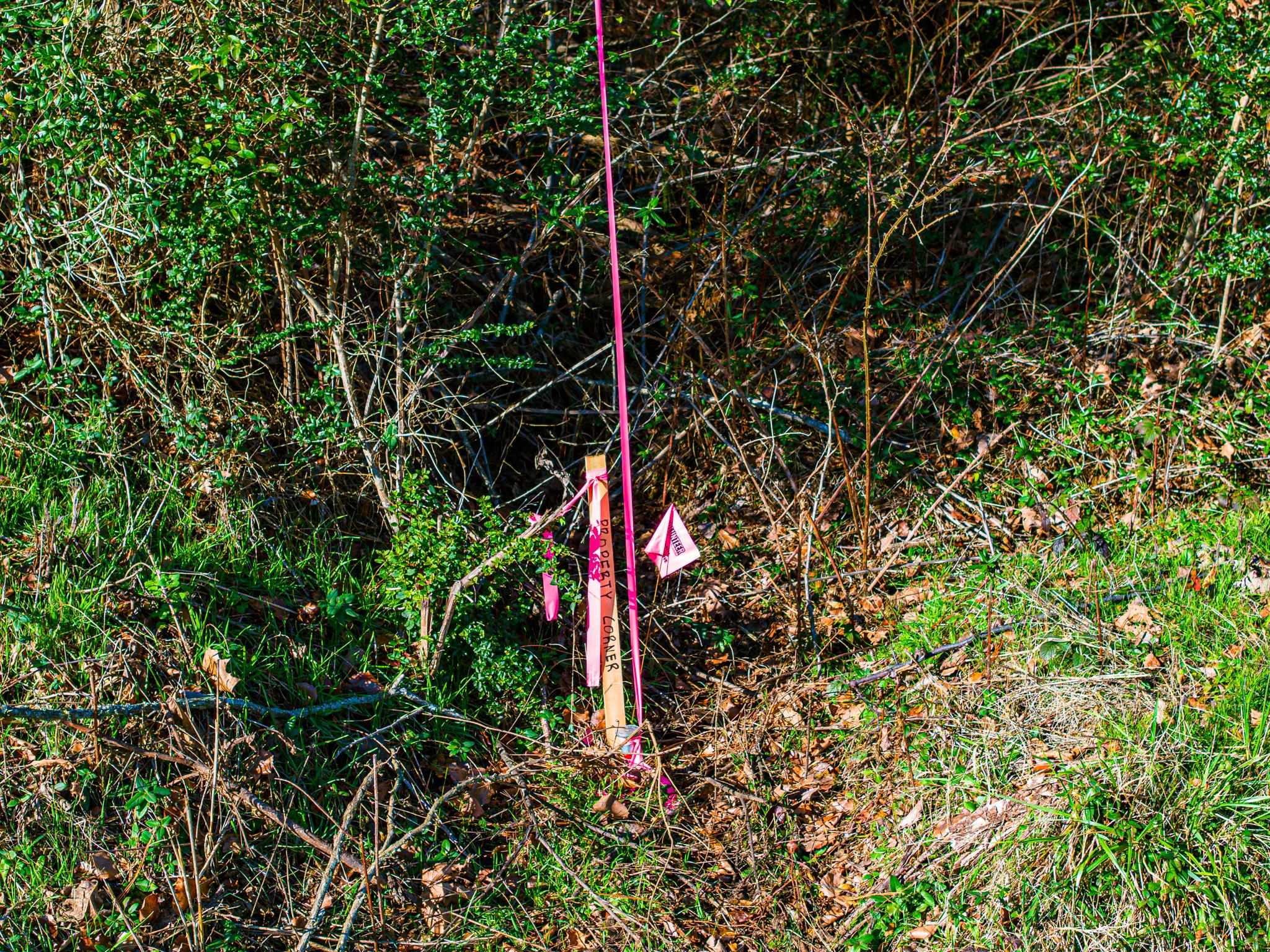 0 Rimmer Road Trezevant, TN 38258 - Photo 13 of 21 Exterior view