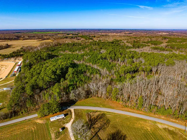 $149,000 | 0 Rimmer Road, Trezevant, TN 38258