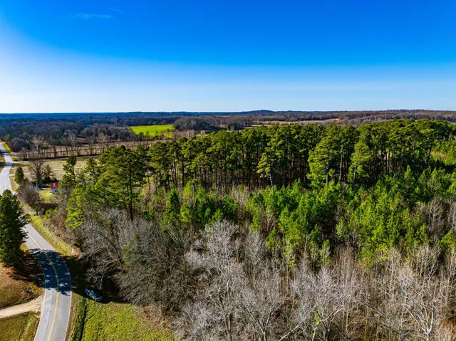 $149,000 | 0 Rimmer Road, Trezevant, TN 38258