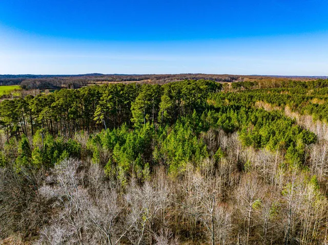 $149,000 | 0 Rimmer Road, Trezevant, TN 38258