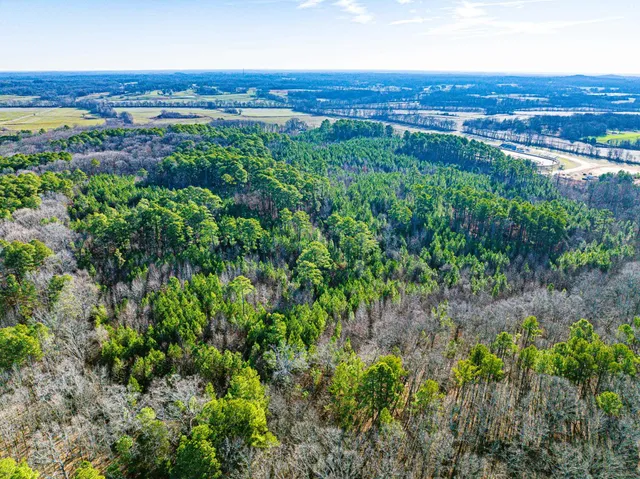 $149,000 | 0 Rimmer Road, Trezevant, TN 38258