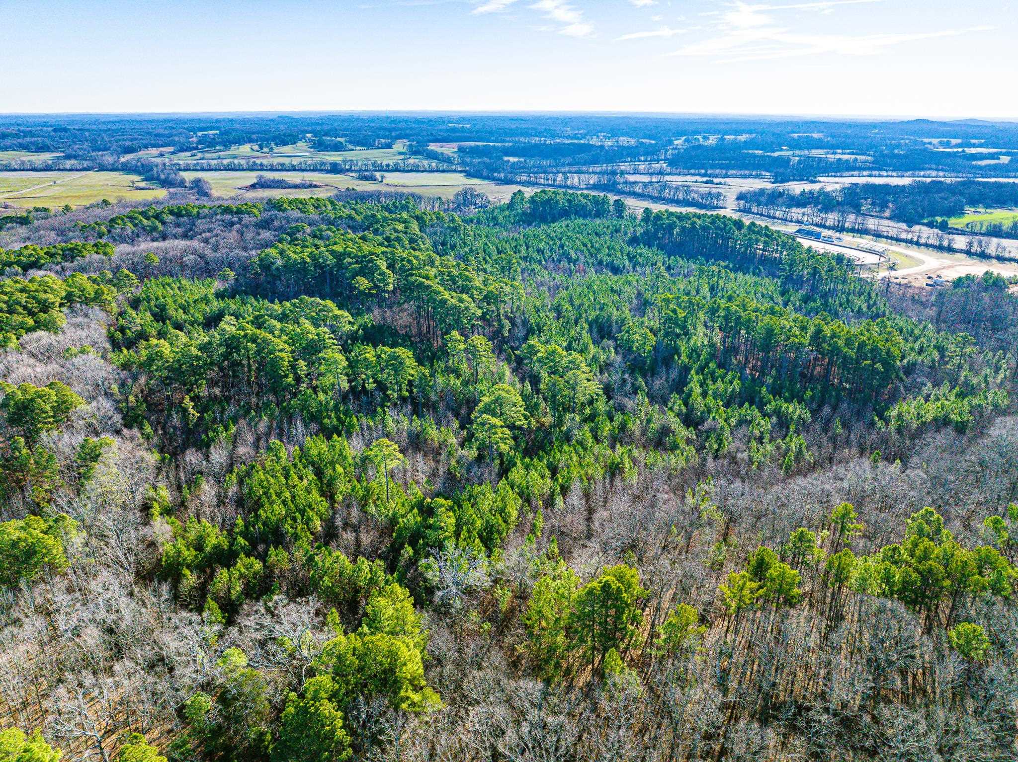 0 Rimmer Road Trezevant, TN 38258 - Photo 4 of 21 Aerial view of a heavily wooded area