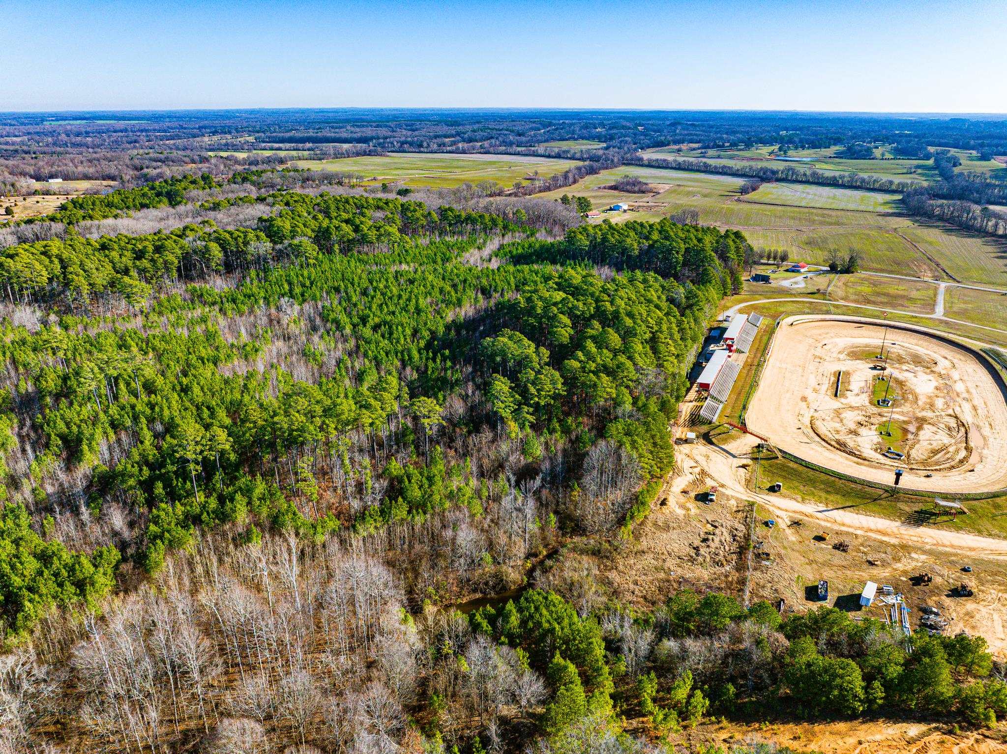0 Rimmer Road Trezevant, TN 38258 - Photo 5 of 21 Overview of rural landscape