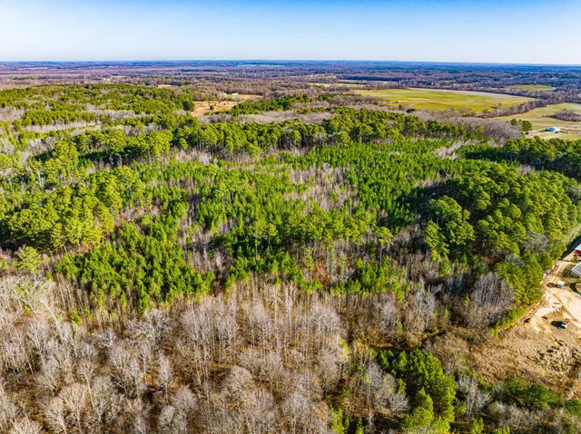 $149,000 | 0 Rimmer Road, Trezevant, TN 38258