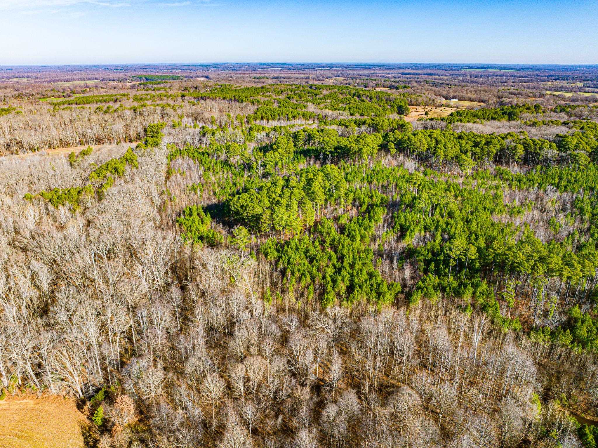 0 Rimmer Road Trezevant, TN 38258 - Photo 7 of 21 Aerial view